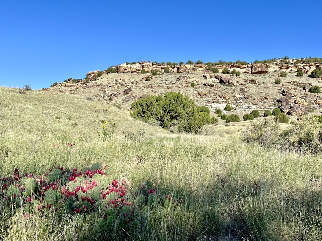 Picketwire Canyon | 2 September,&nbsp;2022