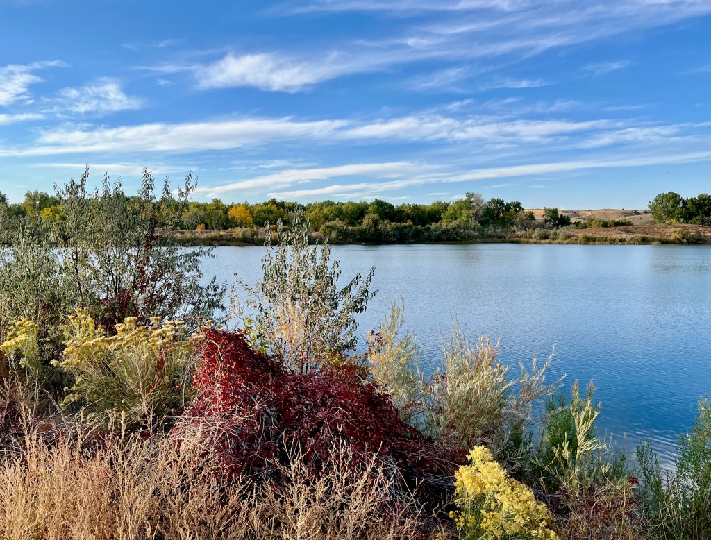 Fall Colors Along the Arkansas River | 13 October,&nbsp;2022