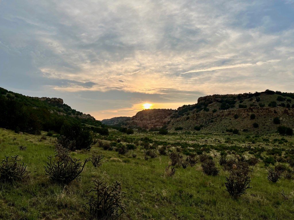 Sunset and Flowers in Picketwire Canyon | 21 May&nbsp;2023