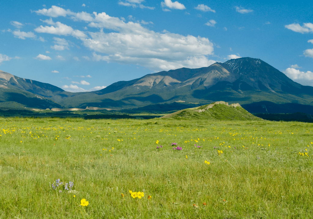 Spring in the Sangre De Cristo Mountains | June&nbsp;2023