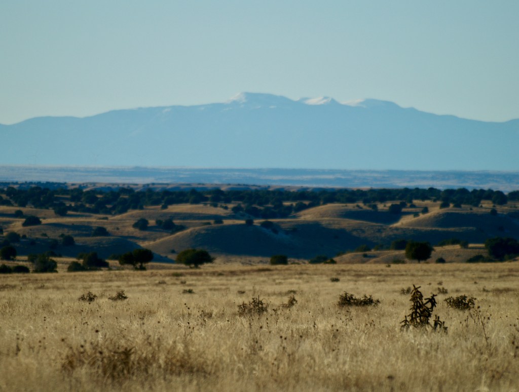 Afternoon on the Range | 17 December,&nbsp;2023