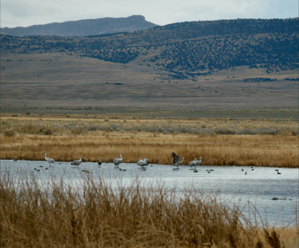 Autumn in the San Luis Valley | 25 October,&nbsp;2023