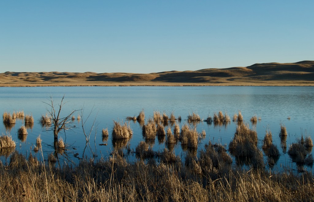 Nebraska Sandhills | 1 March,&nbsp;2024