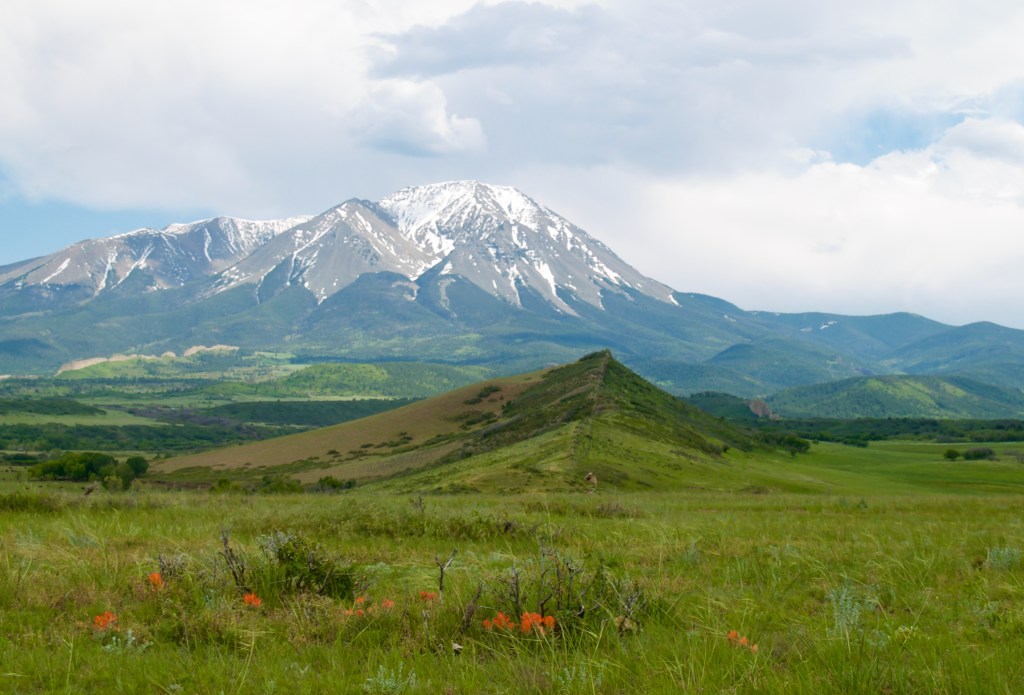 Mountain Showers and Flowers | 1 June,&nbsp;2024