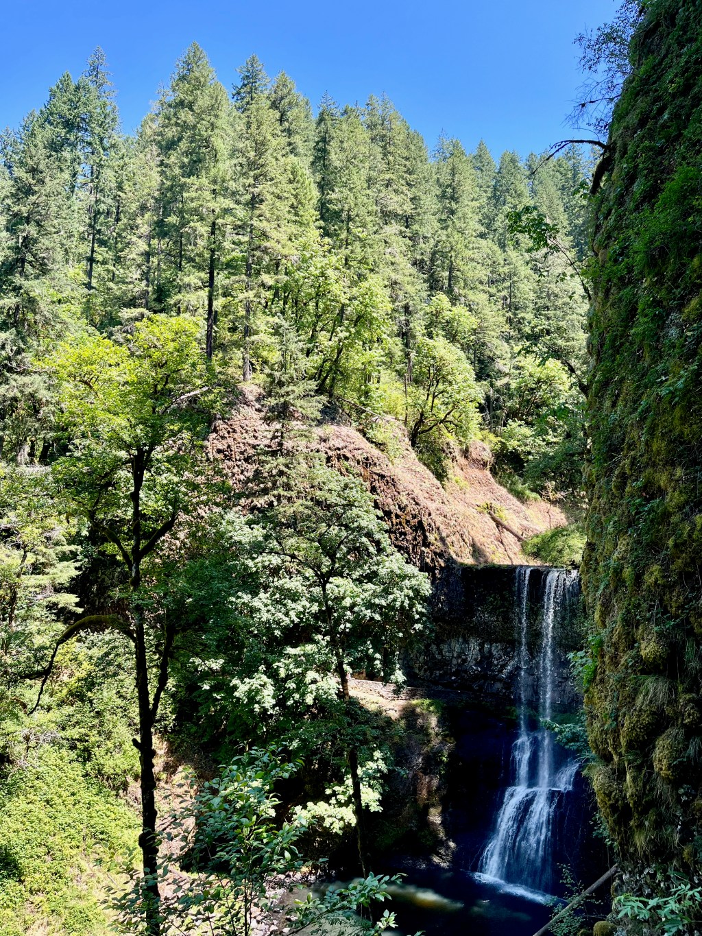 Silver Falls, Oregon | 20 July&nbsp;2025