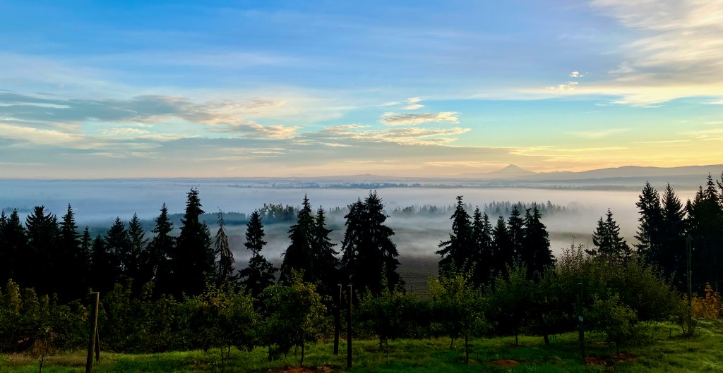 Mount Hood on a Foggy Morning | 18 October&nbsp;2025